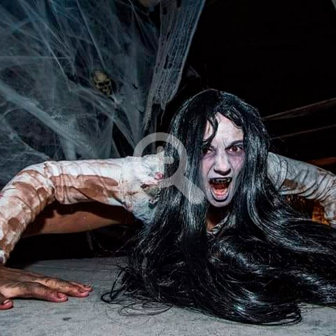 Grupo de baile tributo a Michael Jackson