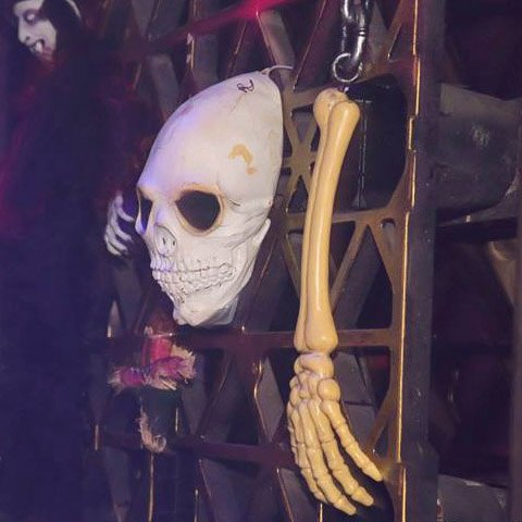 Grupo de baile tributo a Michael Jackson